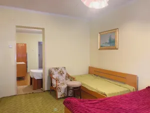 Prodej rodinného domu, Hlučín, Sadová, 255 m2