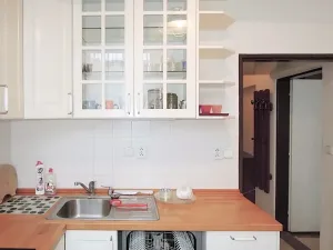 Pronájem bytu 1+1, Brno, Gorkého, 40 m2