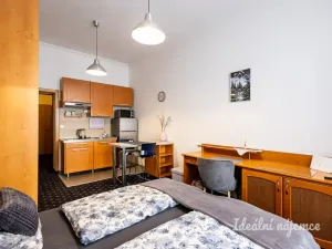Pronájem bytu 1+kk, Praha - Nusle, Slavojova, 26 m2
