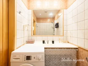 Pronájem bytu 1+kk, Praha - Nusle, Slavojova, 26 m2