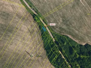 Dražba lesa, Horní Dunajovice, 86 m2