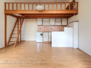 Pronájem bytu 1+kk, Praha - Smíchov, Jindřicha Plachty, 26 m2
