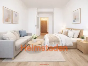 Pronájem bytu 1+kk, Havířov - Město, Hlavní třída, 20 m2