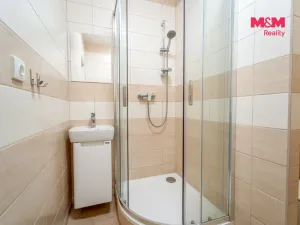 Prodej bytu 1+kk, Plzeň - Severní Předměstí, Sokolovská, 28 m2