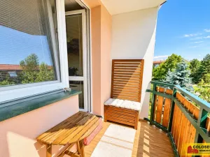 Prodej bytu 3+1, Brno - Kohoutovice, 73 m2
