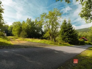 Prodej komerčního pozemku, Železná Ruda - Špičák, 4134 m2