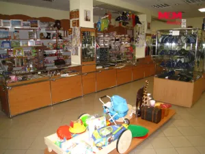 Prodej rodinného domu, Frenštát pod Radhoštěm, nám. Míru, 900 m2