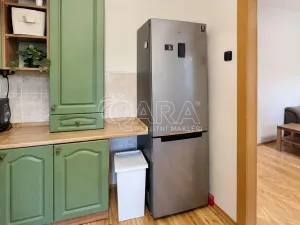 Pronájem bytu 2+1, Praha - Žižkov, Viklefova, 60 m2