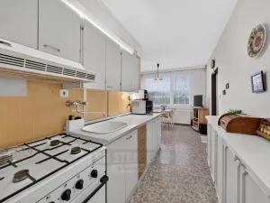 Prodej bytu 2+1, České Budějovice - České Budějovice 2, Větrná, 63 m2
