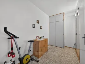 Prodej bytu 2+1, České Budějovice - České Budějovice 2, Větrná, 63 m2