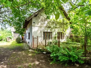 Prodej chalupy, Chvaletice - Hornická Čtvrť, 64 m2