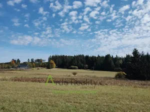 Prodej pozemku, Přední Výtoň, 13285 m2