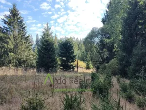 Prodej pozemku, Přední Výtoň, 13285 m2