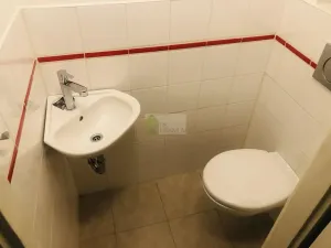 Pronájem bytu 2+kk, Praha - Žižkov, Ondříčkova, 53 m2