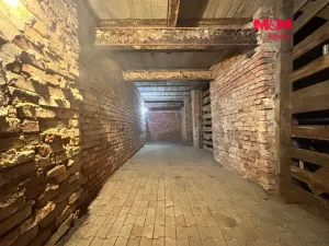 Pronájem bytu 3+1, Nemanice, 100 m2