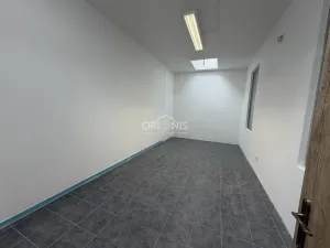 Pronájem obchodního prostoru, Chomutov, Raisova, 217 m2