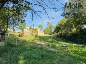 Prodej pozemku pro bydlení, Lipno - Lipenec, 852 m2