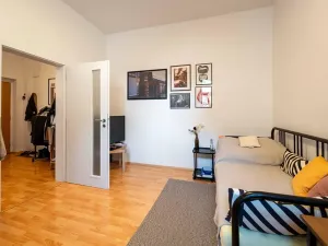 Pronájem bytu 1+1, Olomouc, Palackého, 35 m2
