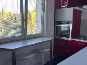 Pronájem bytu 2+1, Olomouc, U kovárny, 53 m2