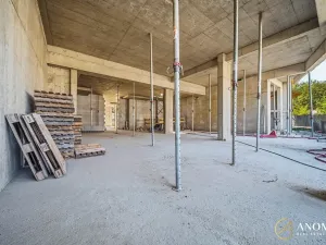 Prodej obchodního prostoru, Brno, 766 m2