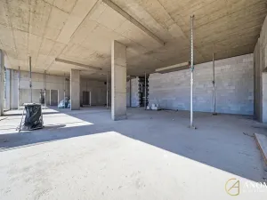 Prodej obchodního prostoru, Brno, 172 m2
