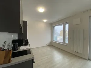 Pronájem bytu 1+kk, Praha - Holešovice, Na Maninách, 33 m2