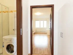 Prodej bytu 1+kk, Praha - Vysočany, Freyova, 33 m2