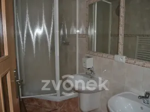 Prodej restaurace, Huslenky, 500 m2