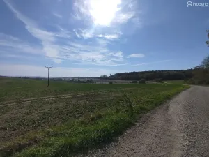 Prodej pole, Ježkovice, 56184 m2
