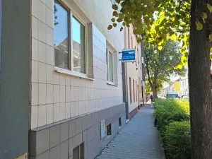 Prodej obchodního prostoru, Brno, Rokycanova, 62 m2
