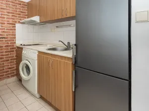 Pronájem bytu 1+1, Plzeň, Kreuzmannova, 46 m2