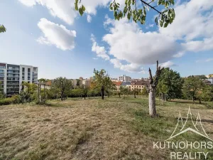 Prodej bytu 2+kk, Praha - Žižkov, Spojovací, 40 m2