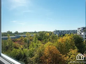Prodej bytu 2+1, Praha - Hlubočepy, Borského, 44 m2