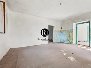 Prodej rodinného domu, Žáky, 106 m2