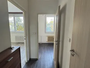 Pronájem bytu 1+1, Jihlava, Březinova, 32 m2