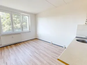 Pronájem bytu 1+1, Chomutov, Kamenná, 34 m2