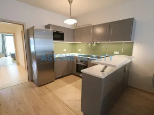 Pronájem bytu 4+kk, Praha - Žižkov, Olšanská, 110 m2