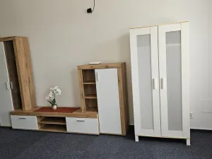 Pronájem bytu 1+kk, Hranice, Masarykovo náměstí, 60 m2