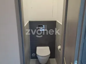 Pronájem bytu 2+1, Zlín, Padělky V, 53 m2