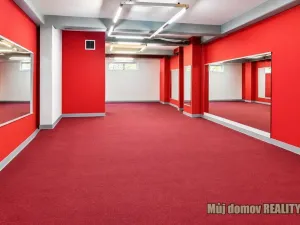 Pronájem obchodního prostoru, Praha - Libeň, 90 m2