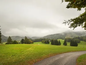 Prodej pozemku, Machov, 15555 m2