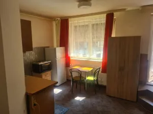 Pronájem bytu 1+kk, Olomouc, Járy da Cimrmana, 25 m2