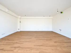 Prodej vícegeneračního domu, Šestajovice, Komenského, 275 m2