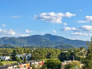 Prodej bytu 2+1, Frýdek-Místek - Místek, Václava Talicha, 55 m2