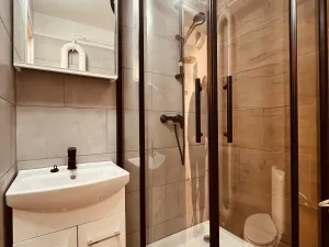 Pronájem bytu 1+1, Ostrava - Zábřeh, Čujkovova, 28 m2
