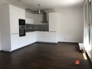 Pronájem bytu 2+kk, Praha - Žižkov, Olgy Havlové, 47 m2