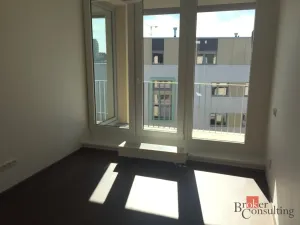 Pronájem bytu 2+kk, Praha - Žižkov, Olgy Havlové, 47 m2