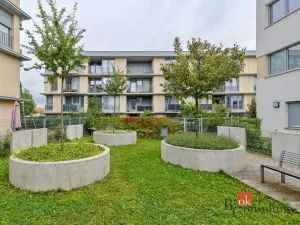 Pronájem bytu 2+kk, Praha - Žižkov, Olgy Havlové, 48 m2