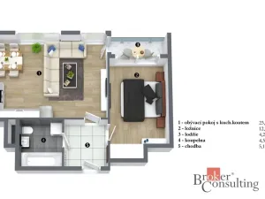 Pronájem bytu 2+kk, Praha - Žižkov, Olgy Havlové, 48 m2