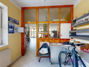 Prodej obchodního prostoru, Březí, Hlavní, 639 m2